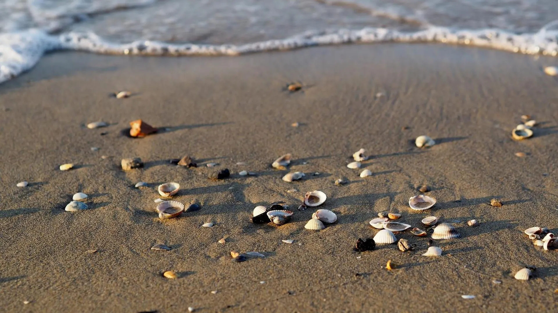 Apartment Discover The Heart Of Bibione In Our Accommodation By Beahost Rentals